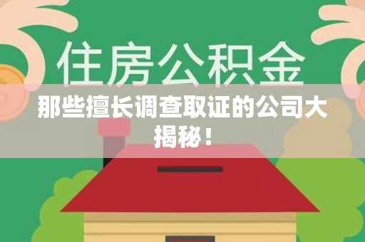 新建那些擅长调查取证的公司大揭秘！