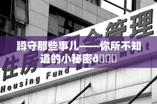 新建蹲守那些事儿——你所不知道的小秘密😎