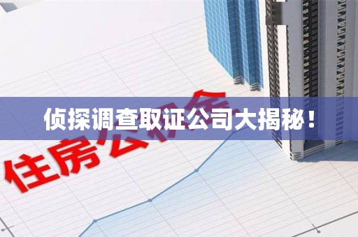 新建侦探调查取证公司大揭秘！