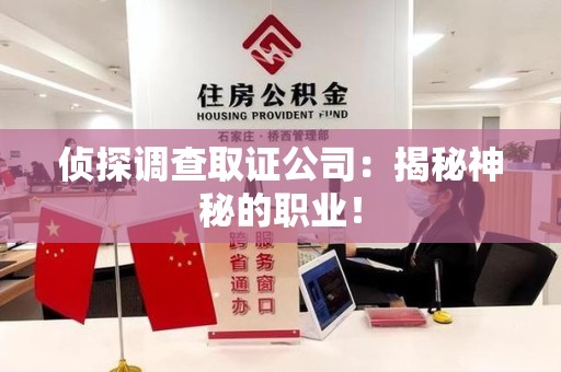新建侦探调查取证公司：揭秘神秘的职业！