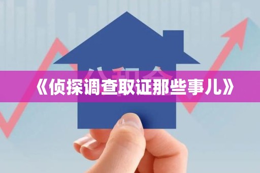 新建《侦探调查取证那些事儿》