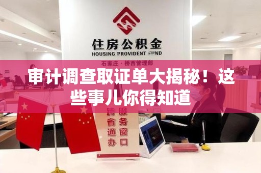 新建审计调查取证单大揭秘！这些事儿你得知道