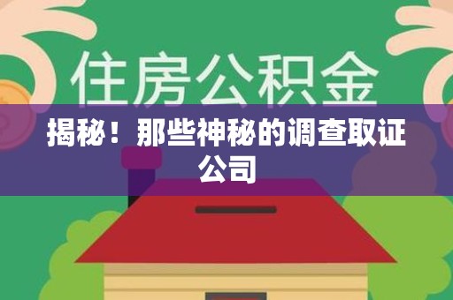 新建揭秘！那些神秘的调查取证公司