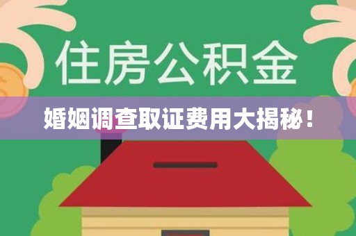 新建婚姻调查取证费用大揭秘！
