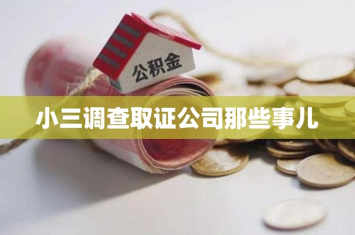 新建小三调查取证公司那些事儿