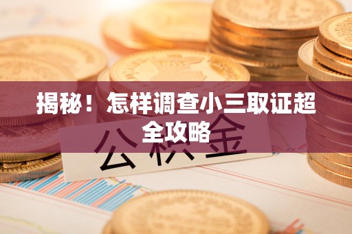 新建揭秘！怎样调查小三取证超全攻略