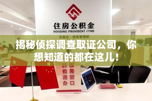 新建揭秘侦探调查取证公司，你想知道的都在这儿！
