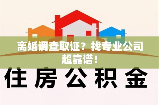 新建离婚调查取证？找专业公司超靠谱！