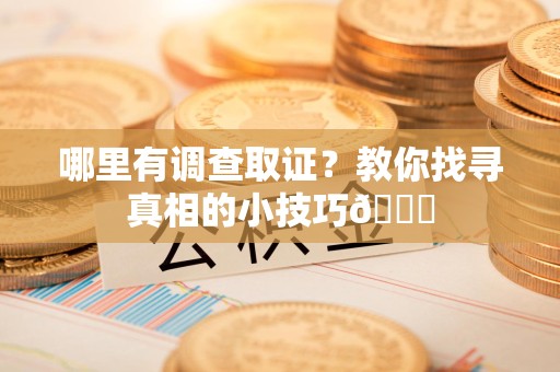 新建哪里有调查取证？教你找寻真相的小技巧😎