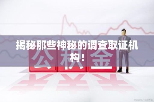 新建揭秘那些神秘的调查取证机构！