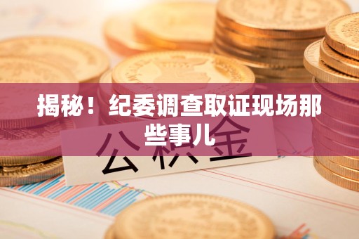 新建揭秘！纪委调查取证现场那些事儿