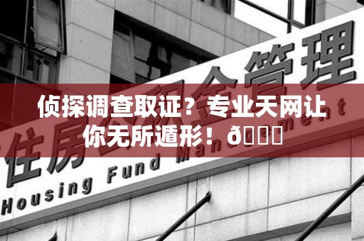 新建侦探调查取证？专业天网让你无所遁形！😎
