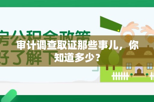 新建审计调查取证那些事儿，你知道多少？
