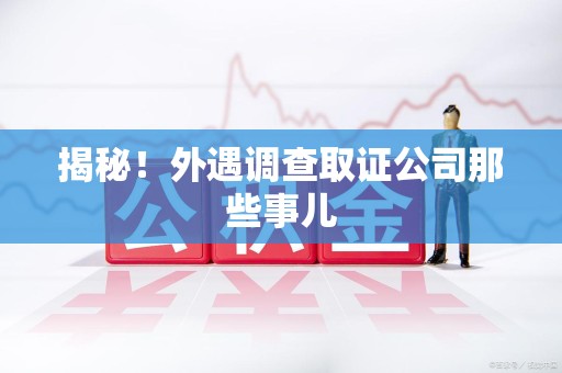 新建揭秘！外遇调查取证公司那些事儿