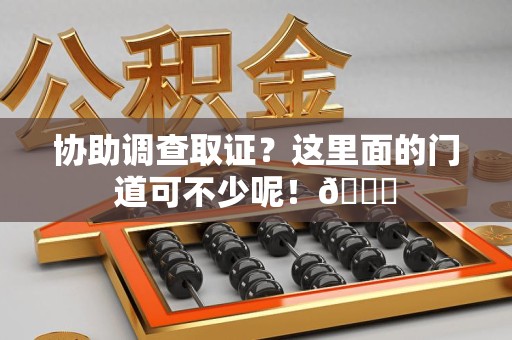 新建协助调查取证？这里面的门道可不少呢！😎