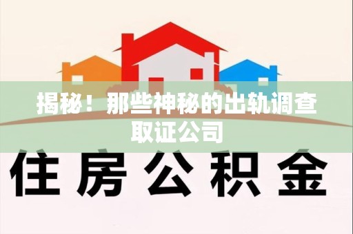 新建揭秘！那些神秘的出轨调查取证公司