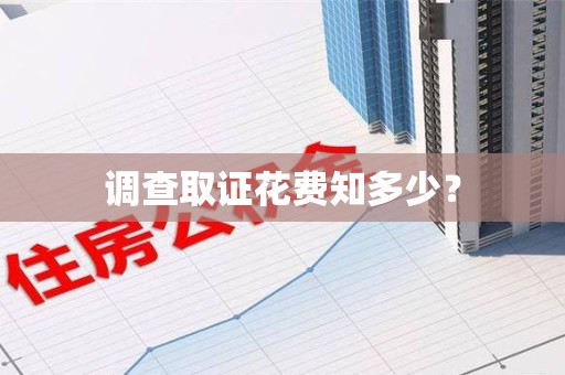 新建调查取证花费知多少？