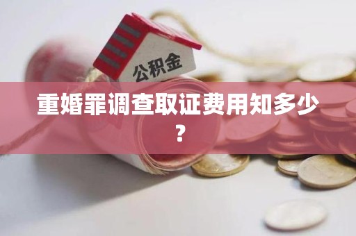 新建重婚罪调查取证费用知多少？