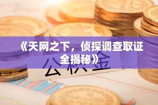 新建《天网之下，侦探调查取证全揭秘》