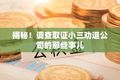 新建揭秘！调查取证小三劝退公司的那些事儿