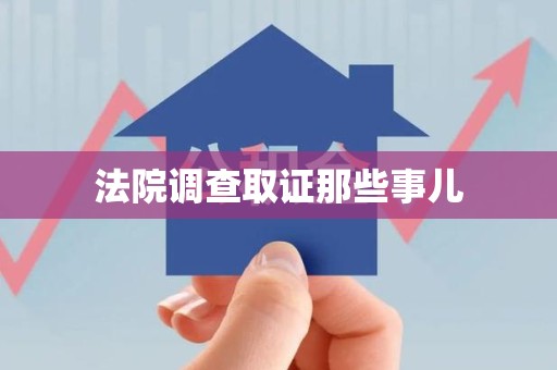 新建法院调查取证那些事儿
