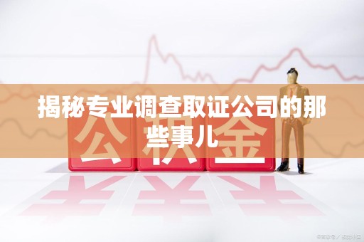 新建揭秘专业调查取证公司的那些事儿