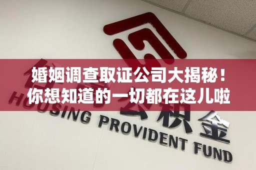 新建婚姻调查取证公司大揭秘！你想知道的一切都在这儿啦😉