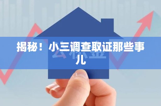 新建揭秘！小三调查取证那些事儿
