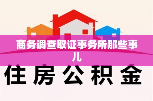 新建商务调查取证事务所那些事儿