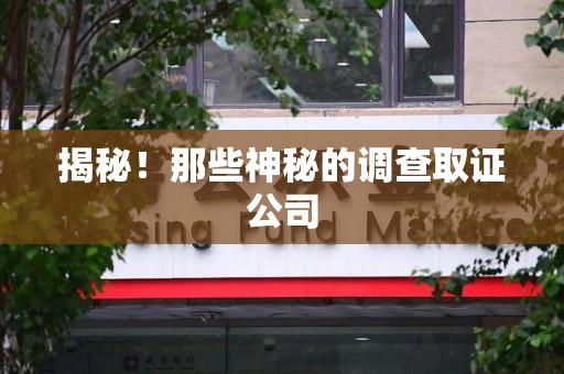 新建揭秘！那些神秘的调查取证公司