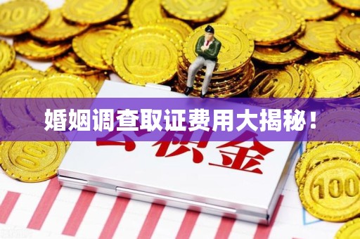 新建婚姻调查取证费用大揭秘！