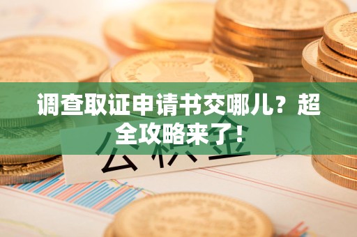 新建调查取证申请书交哪儿？超全攻略来了！