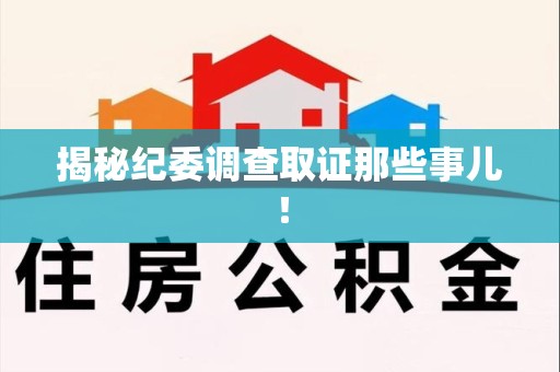 新建揭秘纪委调查取证那些事儿！