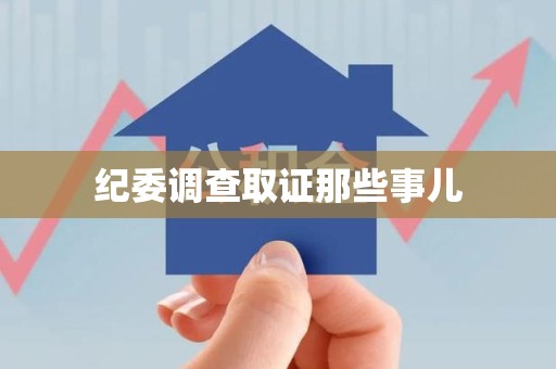 新建纪委调查取证那些事儿