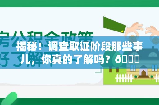 新建揭秘！调查取证阶段那些事儿，你真的了解吗？😎
