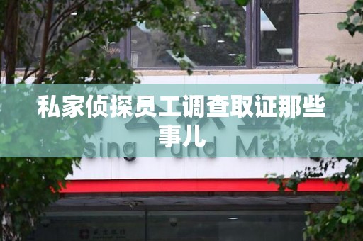 新建私家侦探员工调查取证那些事儿