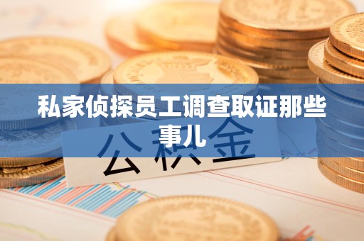 新建私家侦探员工调查取证那些事儿