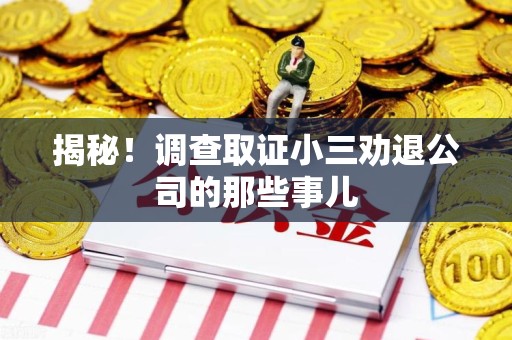 新建揭秘！调查取证小三劝退公司的那些事儿