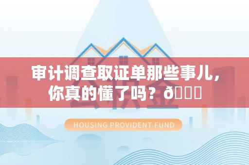 新建审计调查取证单那些事儿，你真的懂了吗？😎