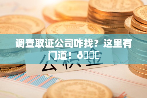 新建调查取证公司咋找？这里有门道！😎